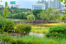 [사진] 시민들을 위한 휴식공간, 푸른수목원 | 서울시 - 내 손안에 서울 [사진] 시민들을 위한 휴식공간, 푸른수목원 