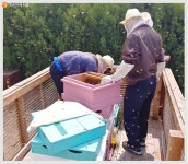 성동지역자활센터 케이터링 서비스 > 내 손안에 서울 > 서울이야기... 시민소통 > 정보소통광장 안심하고 드세요! 성동지역자활센터 케이터링 서비스