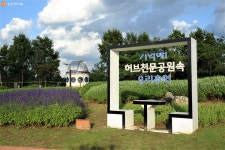 [사진] 놀면 뭐하니? 일자산 숲길 걷자! | 서울시 - 내 손안에 서울 [사진] 놀면 뭐하니? 일자산 숲길 걷자!