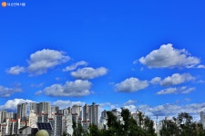 [사진] 서울의 가을 | 서울시 - 내 손안에 서울 [사진] 서울의 가을