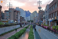 방학천 방예리에 천년 매화도가 피었습니다 > 내 손안에 서울 > 서울이야기 > 시민소통 > 정보소통광장 방학천 방예리에 천년 매화도가 피었습니다