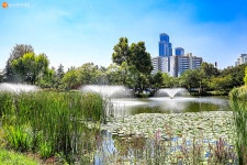 [사진] 가족과 함께 산책하기 좋아! 용산가족공원 | 서울시 - 내 손안에 서울 [사진] 가족과 함께 산책하기 좋아! 용산가족공원