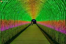 [사진] 반짝이는 가을의 밤, 노원불빛정원 | 서울시 - 내 손안에 서울