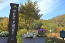 色다른 천연염색 체험! 향림도시농업체험원 다녀왔어요 > 내 손안에 서울 > 서울이야기 > 시민소통 > 정보소통광장