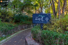 [사진] 안산자락길과 꽃 향기 가득한 홍제천! | 서울시 - 내 손안에 서울 [사진] 안산자락길과 꽃 향기 가득한 홍제천!