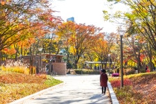 [사진] 생활밀착형 숲으로…달라진 양천근린공원 | 서울시 - 내 손안에 서울 [사진] 생활밀착형 숲으로…달라진 양천근린공원