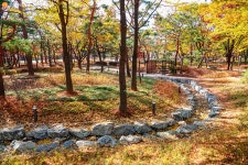 [사진] 생활밀착형 숲으로…달라진 양천근린공원 | 서울시 - 내 손안에 서울 [사진] 생활밀착형 숲으로…달라진 양천근린공원