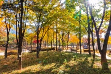 [사진] 생활밀착형 숲으로…달라진 양천근린공원 | 서울시 - 내 손안에 서울 [사진] 생활밀착형 숲으로…달라진 양천근린공원