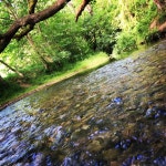 피커링  달비 숲 방문자센터 근처 1352개의 호텔을 ₩123,129 부터 예약 | 익스피디아 - 호텔 예약