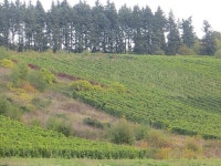 시작가: ₩118,725 시작하는 라인랜드-팔츠 오잔 몬첼 인기 호텔과 숙소 추천 및 예약 | Hotels.com
