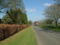 쵸스톤 베스트 호텔 & 숙소 추천 및 특가 예약, 시작가: ₩48,336 - 익스피디아