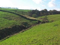 케일리 베스트 호텔 & 숙소 추천 및 특가 예약, 시작가: ₩68,761 - 전액 환불 가능 옵션 - 익스피디아