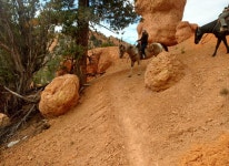 Thunder Mountain Trail: Scenic Horseback Ride