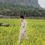 머시따, 퀄리티 중심