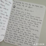 금동이의 냥식일지 - 함께하면 더 맛있는 즐거움 메티즌 - 함께하면 더 맛있는 즐거움