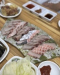 전국 삼치회 맛집 7 - 함께하면 더 맛있는 즐거움 메티즌 - 함께하면 더 맛있는 즐거움