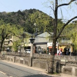 人気NEW 専用の通販 すずs shop｜ラクマ by 超激安国産