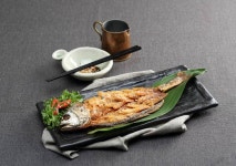 지점정보 - F&B 안내 롯데백화점