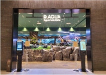 지점정보 - F&B 안내 롯데백화점