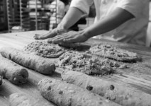 지점정보 - F&B 안내 롯데백화점