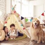 쇼핑뉴스 | 롯데백화점 롯데백화점