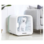 혜택&이벤트 | 롯데백화점