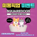 혜택&이벤트 | 롯데백화점 롯데백화점