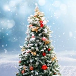 Shop Now | 롯데백화점 롯데백화점