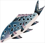 쏘가리 - KRpia 검색결과