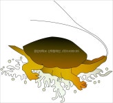 거북 - KRpia 검색결과