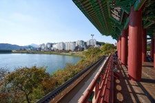 울산의 역사가 흐르는 생명의 강, 태화강<문화와 삶을 꽃피우는, 한국의 강과 바다<지역N문화 테마 울산의 역사가 흐르는 생명의 강, 태화강