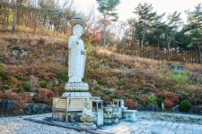 자연과 지리<통합검색<지역N문화 테마 통합검색<생명이 솟아나는, 한국의 산과 샘<지역N문화 테마