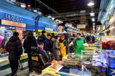 농수산물 유통 근대화를 위해 만들어진 가락시장<소중한 기억 속 푸짐한 情, 시장<지역N문화 테마 농수산물 유통 근대화를 위해 만들어진 가락시장