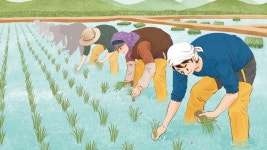 농촌의 기본 공동체 두레<친자연적인 미래산업, 농업<지역N문화 테마 농촌의 기본 공동체 두레