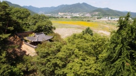 물고기가 용이 되어 승천한, 밀양 어변당<선비 문화의 산실, 누정<지역N문화 테마 물고기가 용이 되어 승천한, 밀양 어변당