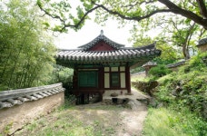 마을 사람들의 기지로 살아남은, 포항 용계정<선비 문화의 산실, 누정<지역N문화 테마 마을 사람들의 기지로 살아남은, 포항 용계정
