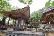 이언괄의 효심을 칭송하는, 경주 양동마을 심수정