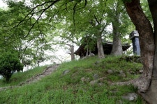 물도 나무도 마음도 푸른, 나주 벽류정<선비 문화의 산실, 누정<지역N문화 테마 물도 나무도 마음도 푸른, 나주 벽류정