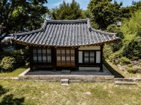 대전 비래사 목조비로자나불좌상(보물 제1829호)