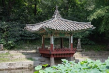 군자의 꽃 연꽃을 사랑하는, 창덕궁 애련정<선비 문화의 산실, 누정<지역N문화 테마 군자의 꽃 연꽃을 사랑하는, 창덕궁 애련정