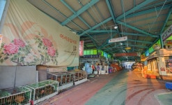 조선시대 개설된 고창읍내장을 계승한 고창상설시장<소중한 기억 속 푸짐한 情, 시장<지역N문화 테마 조선시대 개설된 고창읍내장을 계승한... 