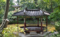 잡념을 없애고 마음을 맑게 하는, 창덕궁 청심정<선비 문화의 산실, 누정<지역N문화 테마 잡념을 없애고 마음을 맑게 하는, 창덕궁 청심정