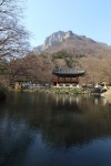 목은 이색과 포은 정몽주로 유명세를 탄, 장성 백양사 쌍계루<선비... 테마 목은 이색과 포은 정몽주로 유명세를 탄, 장성 백양사 쌍계루