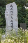 정3품의 두 그루 나무가 있던, 공주 공산성 쌍수정