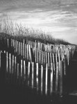 In a Row :: Behance In a Row