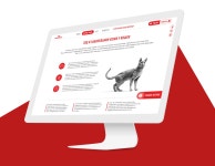 Royal Canin Dermatology on Behance Royal Canin Dermatology