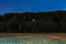Random visual sounds :: Behance Random visual sounds
