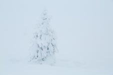 White White World | Behance White White World