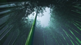 Unknown on Behance Unknown