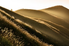 The sun sinks in the west :: Behance The sun sinks in the west